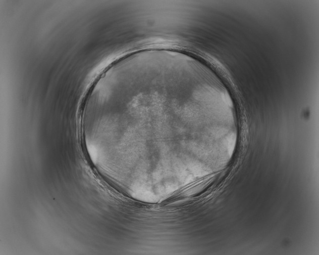 X0000114611419200912010926