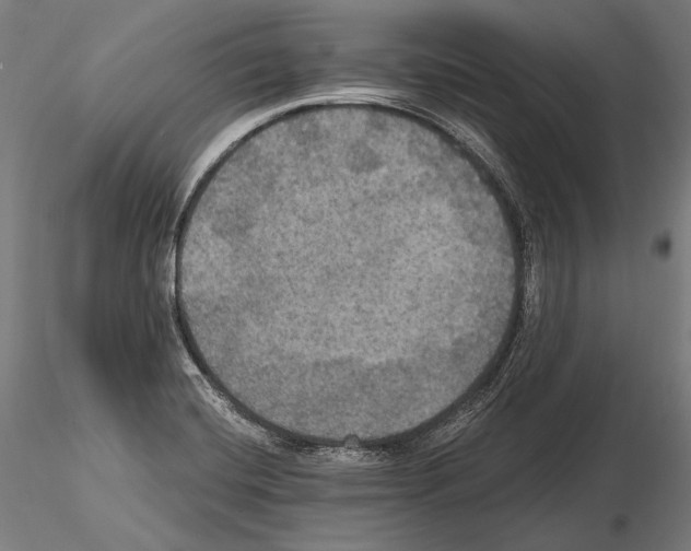 X0000114611420200912010926