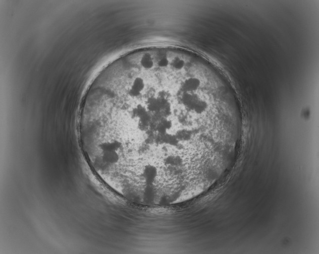 X0000114611421200912010926