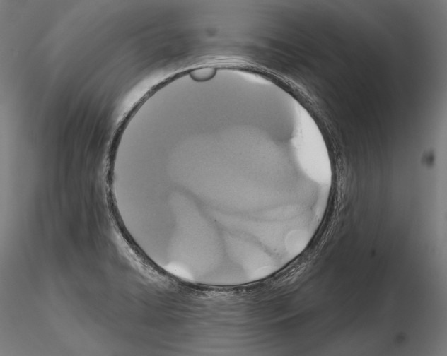 X0000114611422200912010926