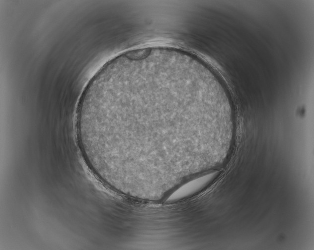 X0000114611423200912010926