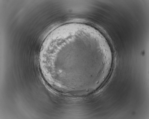 X0000114611425200912010926