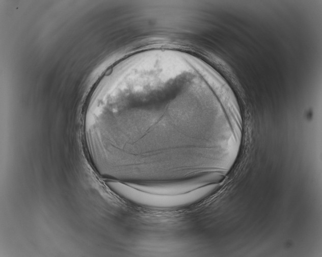 X0000114611427200912010926