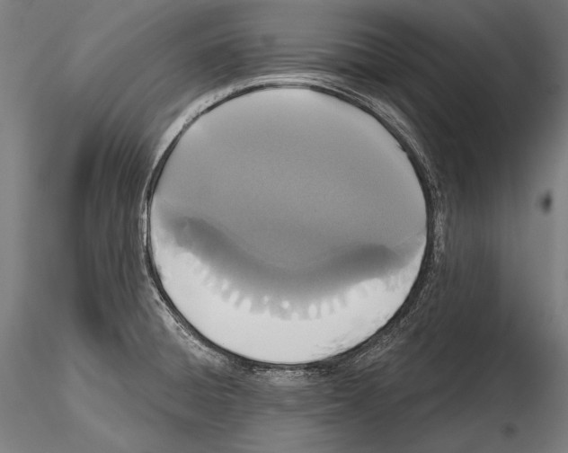 X0000114611428200912010926