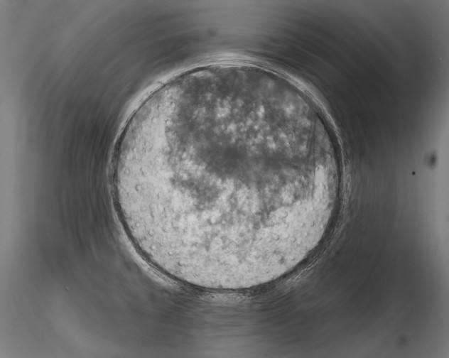 X0000114611429200912010926