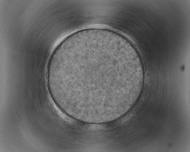 X0000114611430200912010927