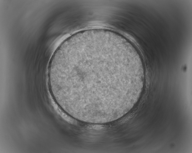 X0000114611431200912010927