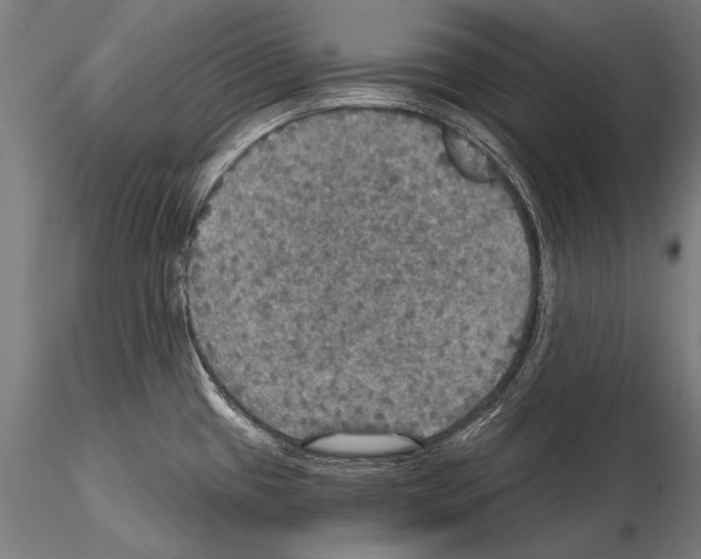 X0000114611433200912010927