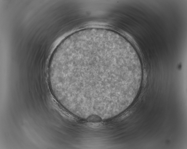 X0000114611435200912010927