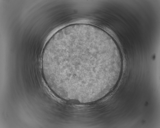 X0000114611436200912010927