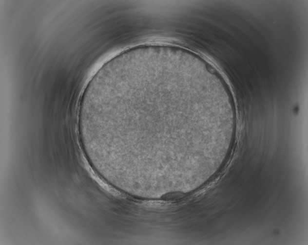 X0000114611437200912010927