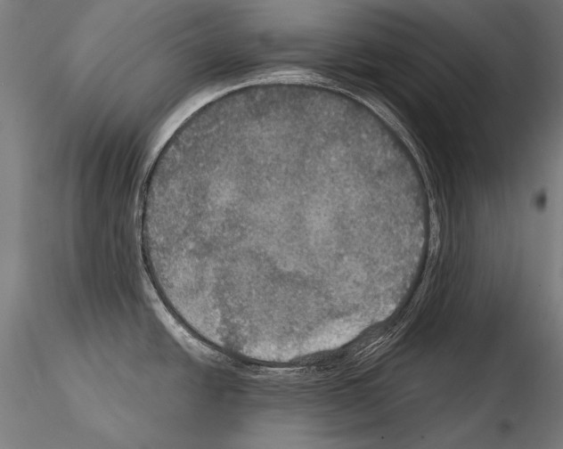 X0000114611438200912010927