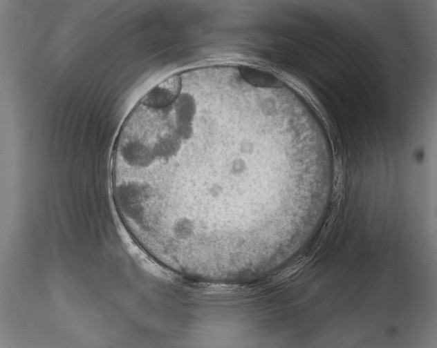 X0000114611439200912010927