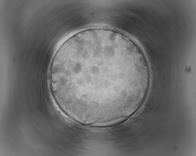 X0000114611440200912010927