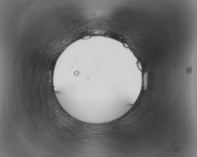 X0000114611443200912010926