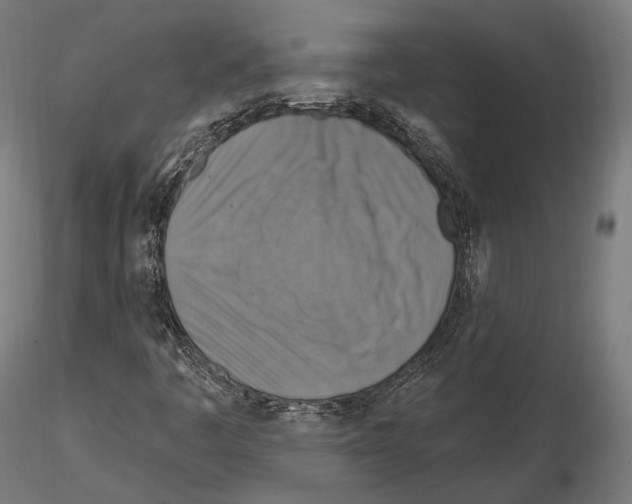 X0000114611445200912010926