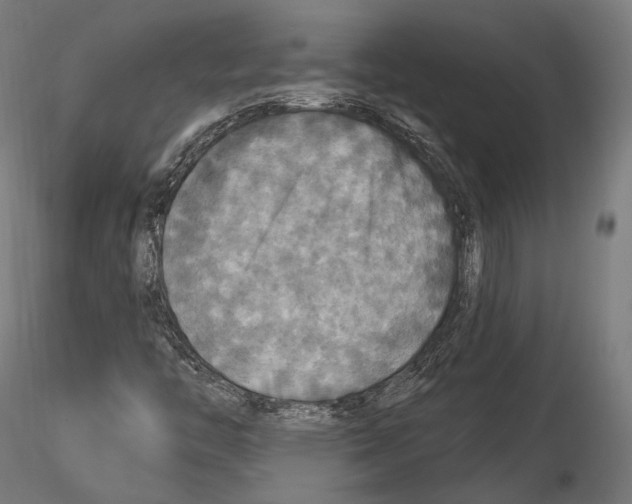 X0000114611446200912010926