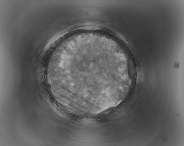 X0000114611448200912010926