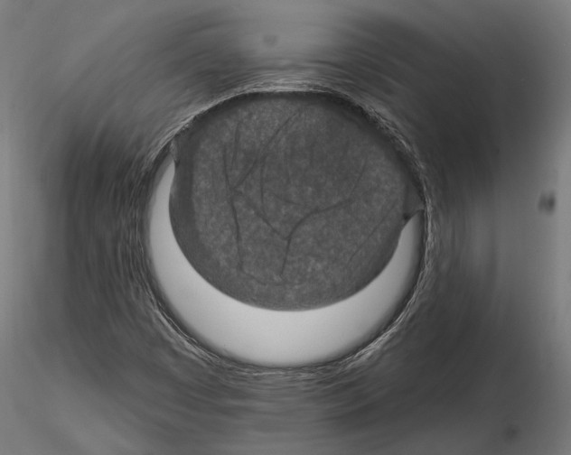 X0000114611449200912010926