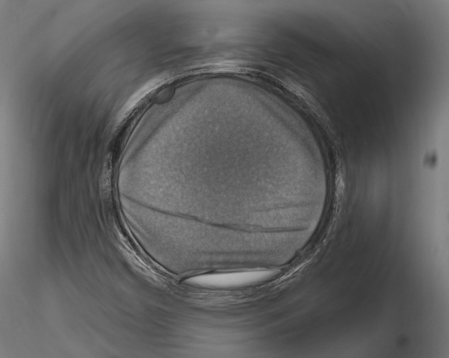 X0000114611450200912010926