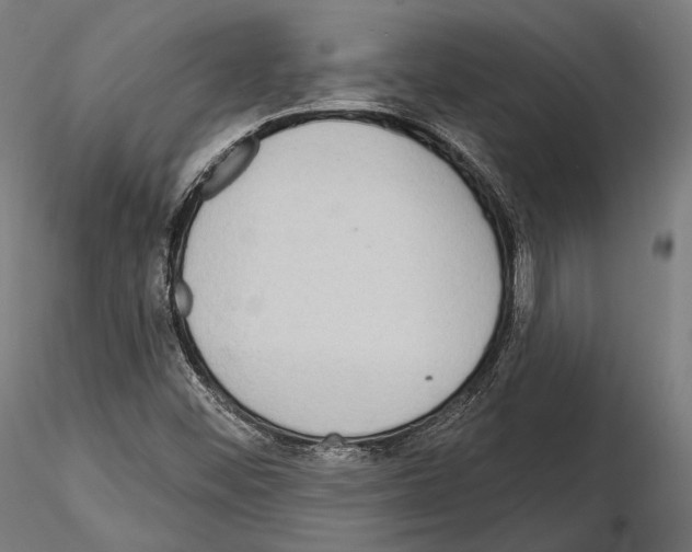 X0000114611452200912010926