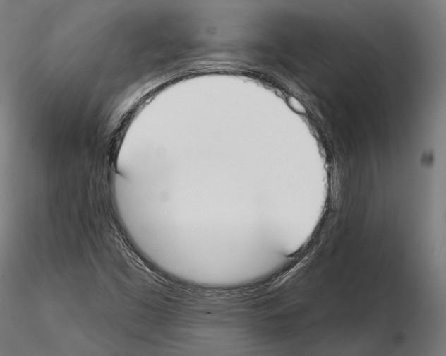 X0000114611453200912010926