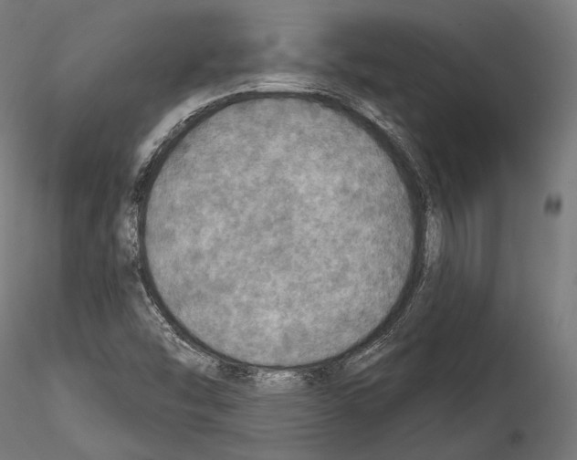 X0000114611454200912010926