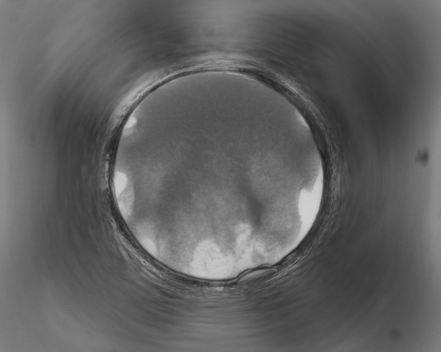 X0000114611459200912010926