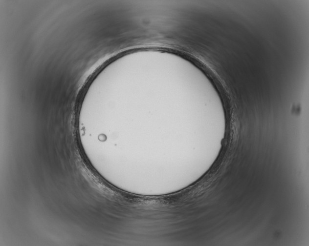 X0000114611460200912010926