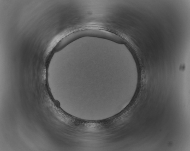 X0000114611461200912010926