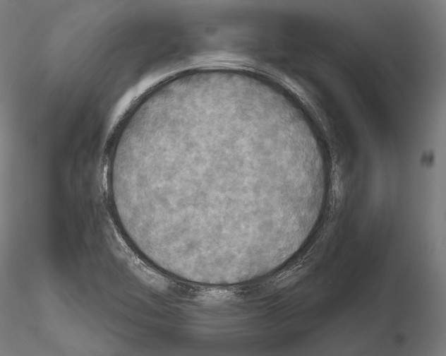 X0000114611462200912010926