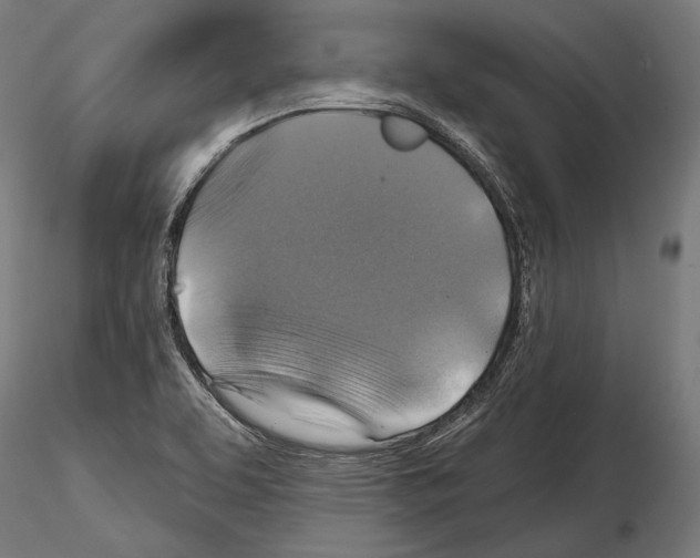 X0000114611463200912010926