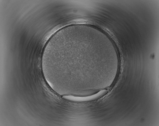 X0000114611465200912010926