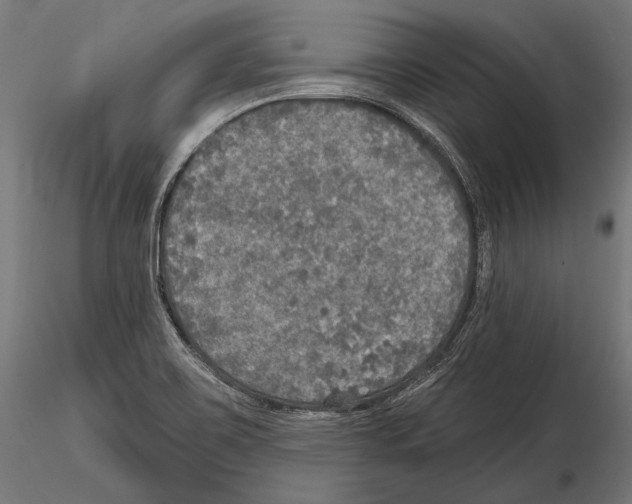 X0000114611467200912010926