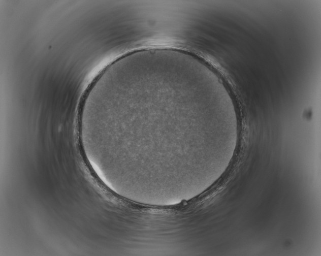 X0000114611469200912010926