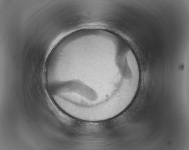 X0000114611470200912010926