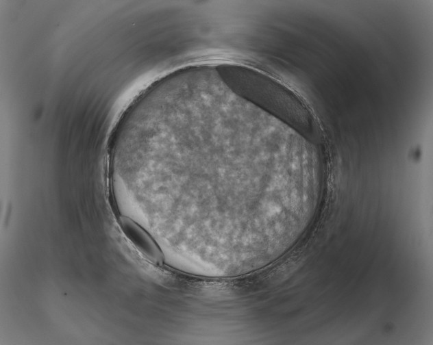 X0000114611472200912010926