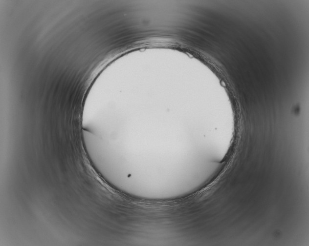 X0000114611473200912010926