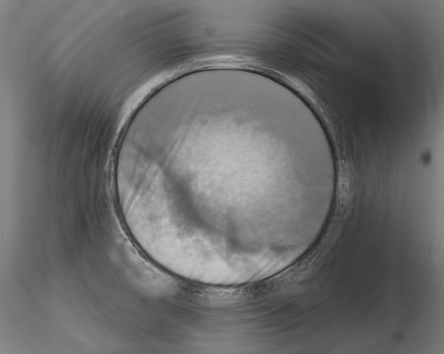 X0000114611474200912010926