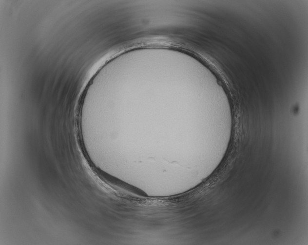 X0000114611475200912010926