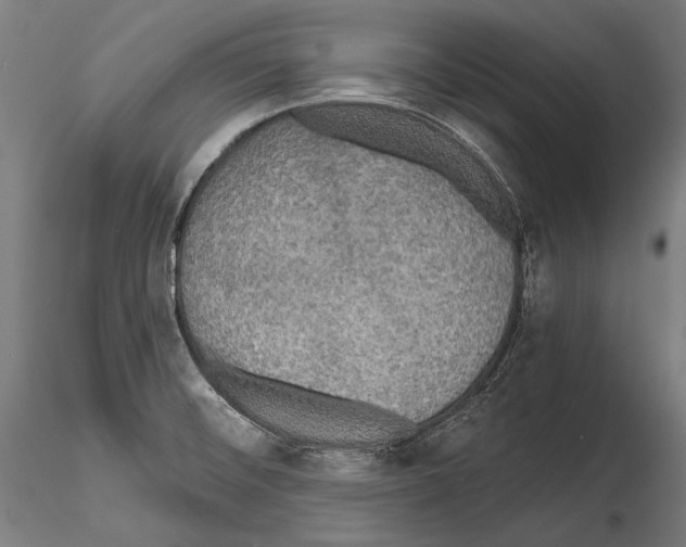 X0000114611476200912010926