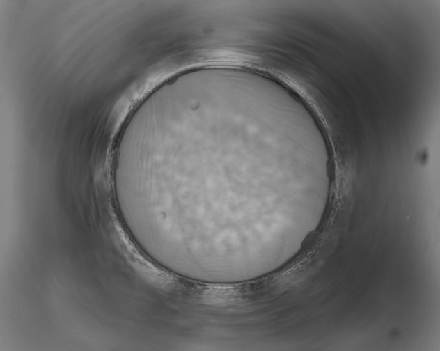 X0000114611477200912010925