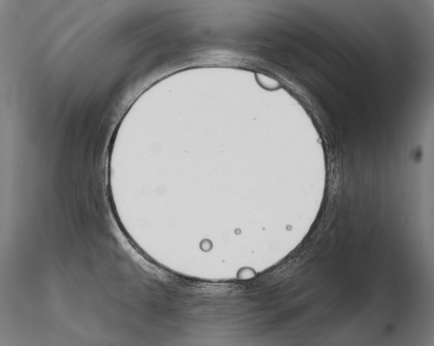 X0000114611479200912010925