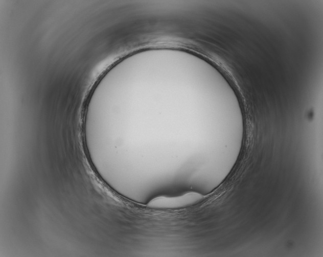 X0000114611480200912010925