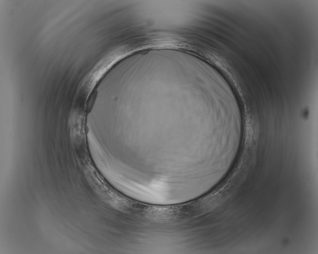 X0000114611481200912010925