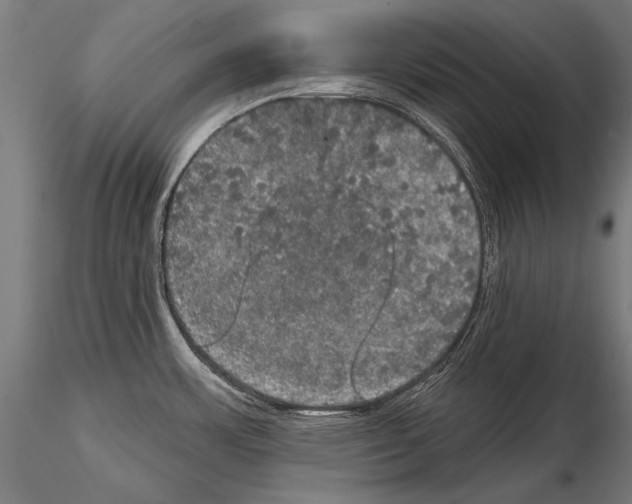 X0000114611483200912010925