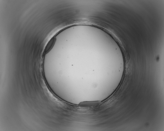 X0000114611484200912010925