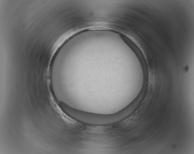 X0000114611485200912010925