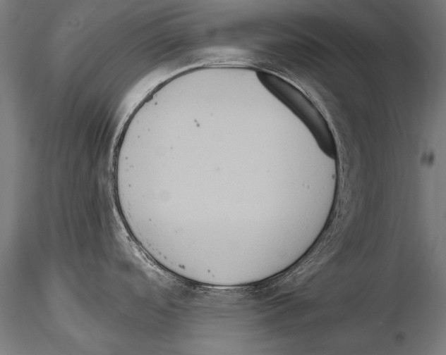 X0000114611488200912010925