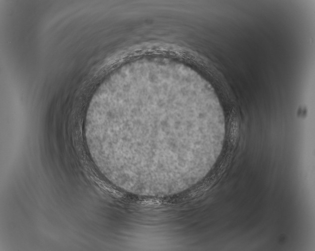 X0000114611489200912010925